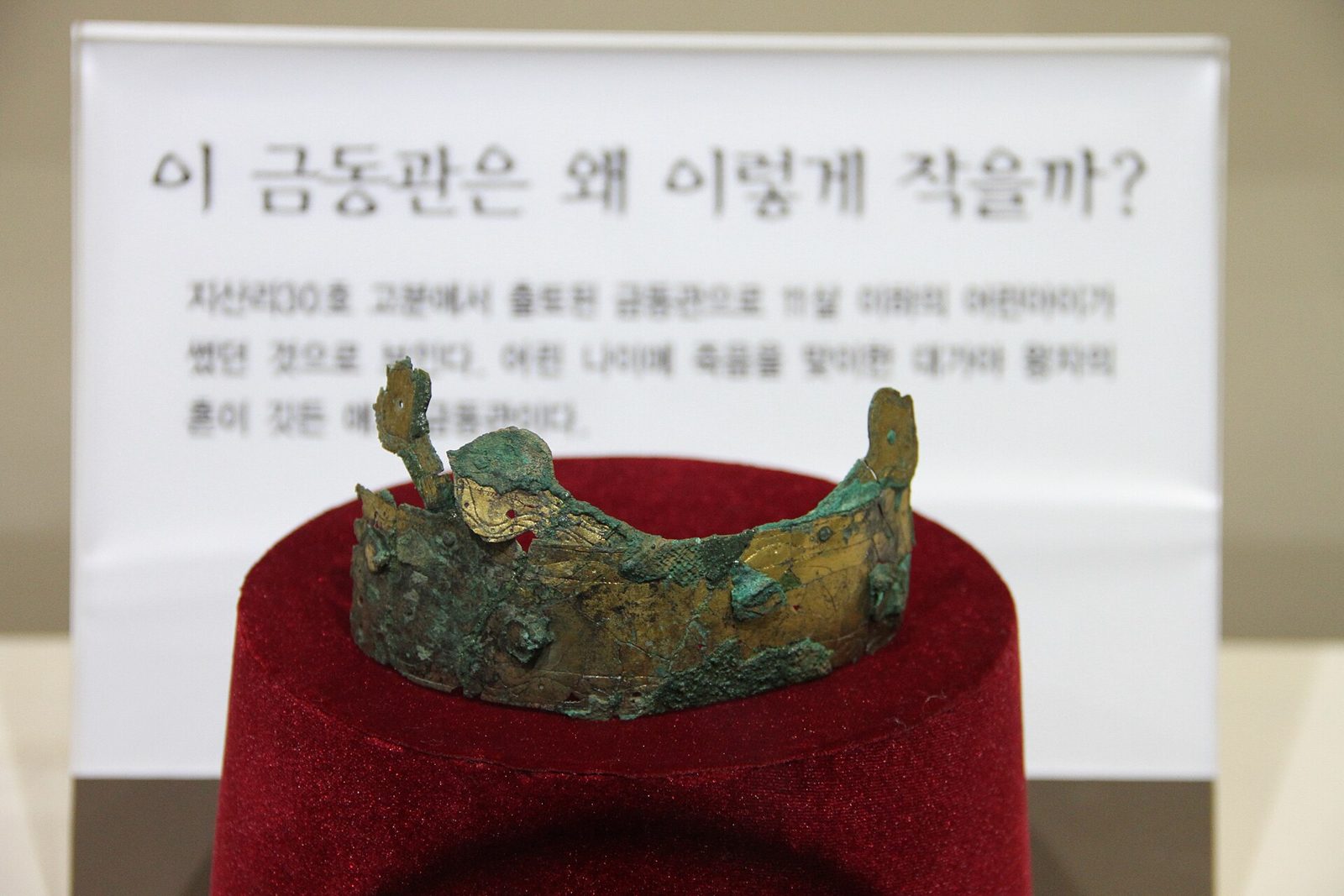 질지왕